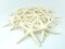 Starfish Decor - 20 Pack White Finger Star Fish 2-3 Inch - Starfish for Crafts - White Starfish Wall Décor - Beach Wedding Starfish - Beach Starfish Décor - Star Fish Decorations